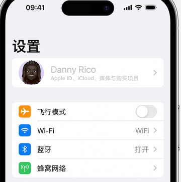 莒南appleID维修服务iPhone设置中Apple ID显示为灰色无法使用 