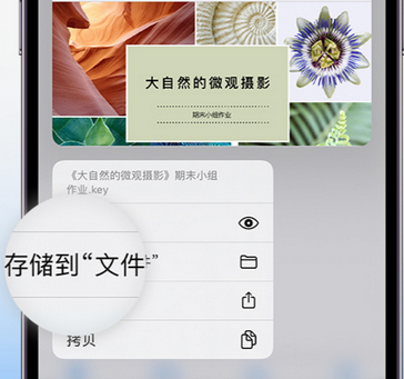 莒南apple维修中心分享iPhone文件应用中存储和找到下载文件