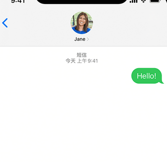 莒南apple维修iPhone上无法正常发送iMessage信息