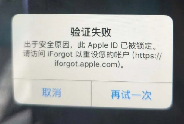 莒南iPhone维修分享iPhone上正常登录或使用AppleID怎么办 