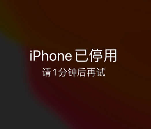 莒南苹果手机维修分享:iPhone 显示“不可用”或“已停用”怎么办？还能保留数据吗？ 