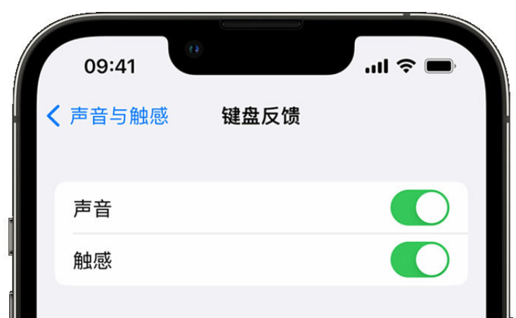 莒南苹果手机维修分享iPhone 14触感键盘使用方法 