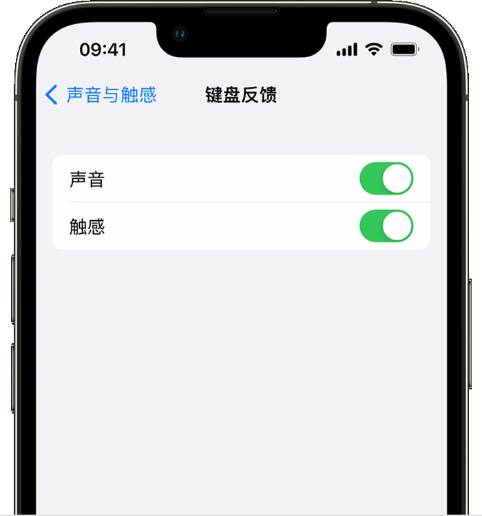 莒南苹果14维修店分享如何在 iPhone 14 机型中使用触感键盘 