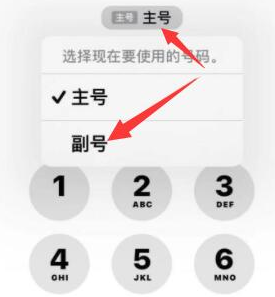 莒南苹果14维修店分享iPhone 14 Pro Max使用副卡打电话的方法 