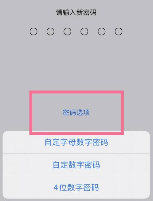 莒南苹果14维修分享iPhone 14plus设置密码的方法 