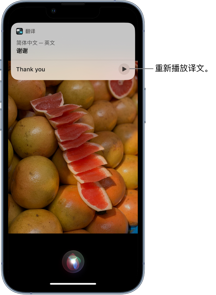 莒南苹果14维修分享 iPhone 14 机型中使用 Siri：了解 Siri 能帮你做什么 