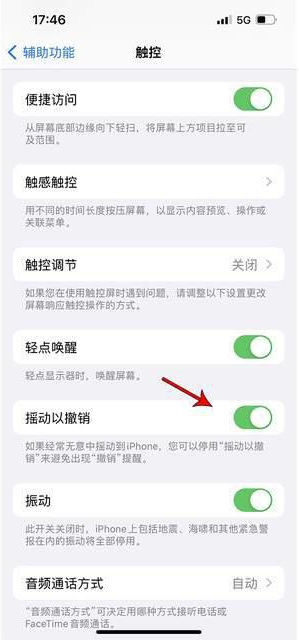 莒南苹果手机维修分享iPhone手机如何设置摇一摇删除文字 