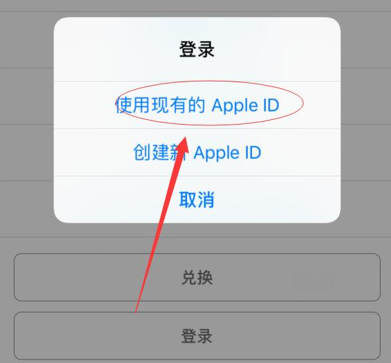 莒南苹果手机维修分享两台iPhone设备可以同时登录一个Apple ID吗 