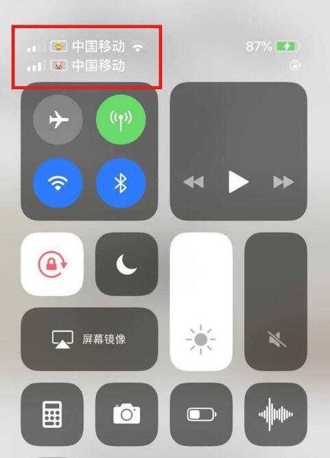 莒南苹果手机维修分享为 iPhone 12 双卡设置标签 